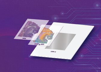 How to Prepare FFPE Samples for Spatial Transcriptomics